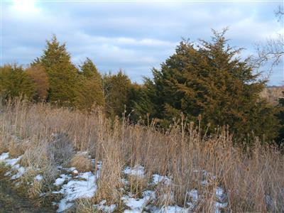 18 Crooked Creek Road Lexington, KY 40508 - Photo 24 of 42 Photo 24