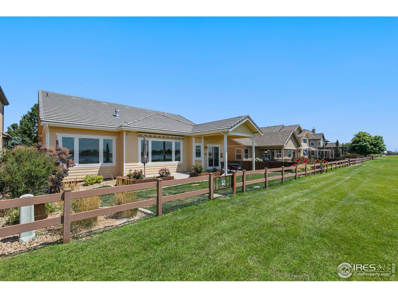 55 Veronica Drive Windsor, CO 80550 - Photo 23 of 24 Backyard backs up to open greenspace, a walking path and Lake Windsor