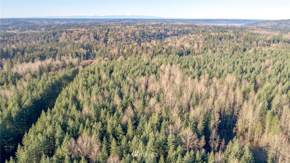 34100 Northeast N Fork Road Duvall, WA 98019 - Photo 2 of 20 Gallery Image 2