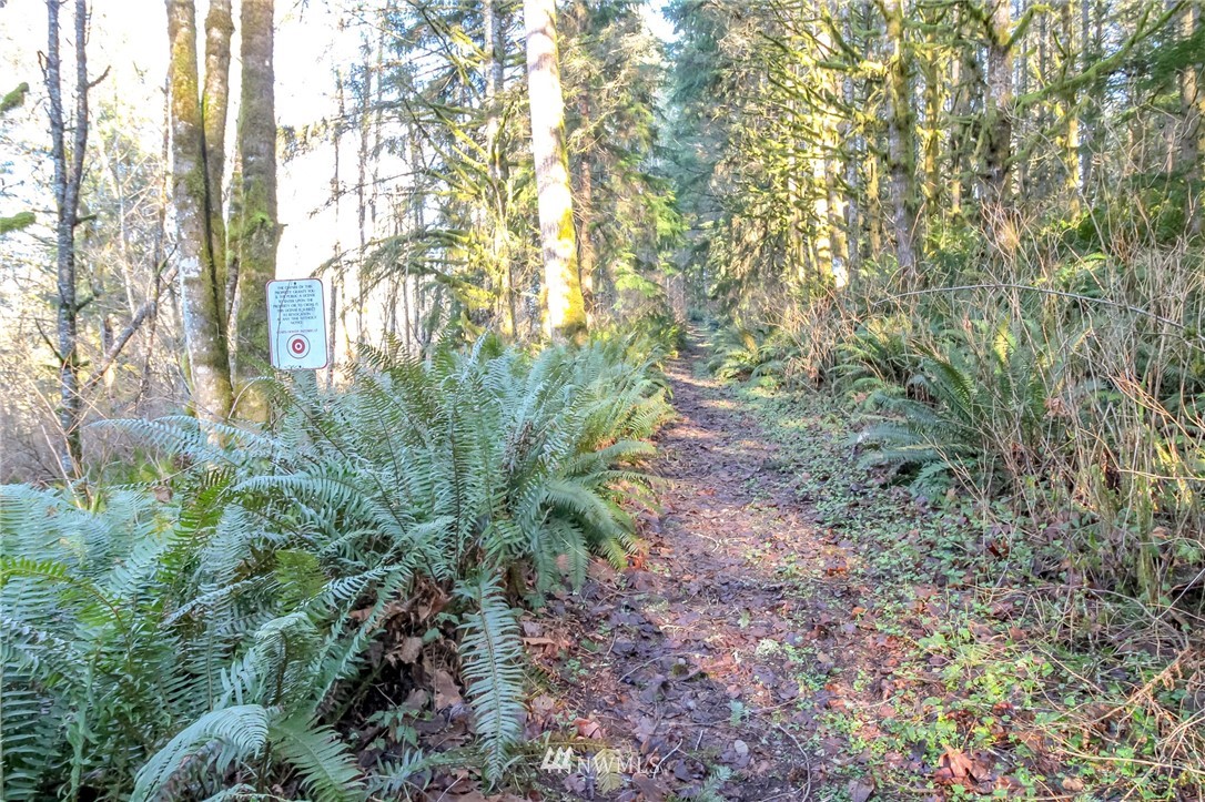 34100 Northeast N Fork Road Duvall, WA 98019 - Photo 12 of 20 Gallery Image 12