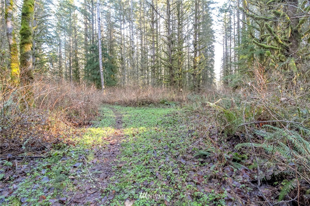 34100 Northeast N Fork Road Duvall, WA 98019 - Photo 13 of 20 Gallery Image 13