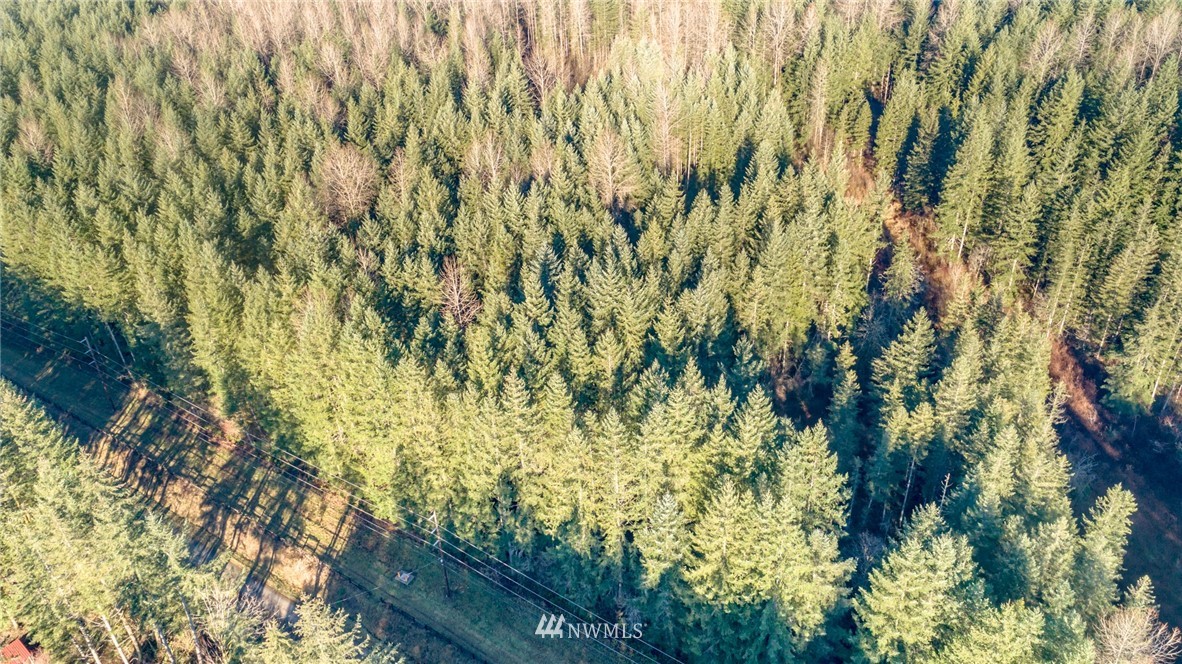 34100 Northeast N Fork Road Duvall, WA 98019 - Photo 3 of 20 Gallery Image 3