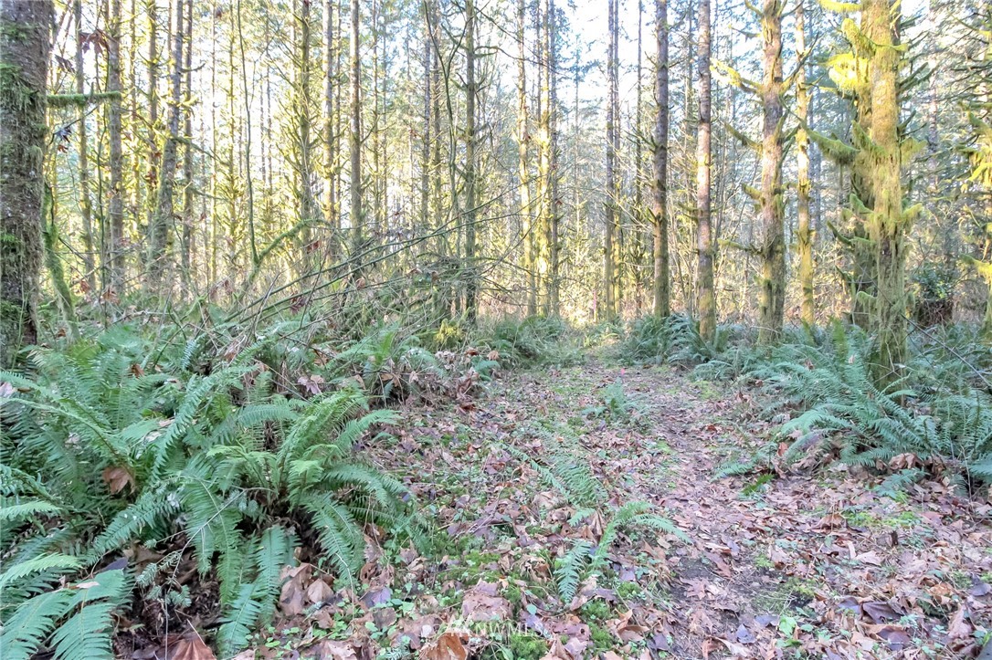 34100 Northeast N Fork Road Duvall, WA 98019 - Photo 7 of 20 Gallery Image 7