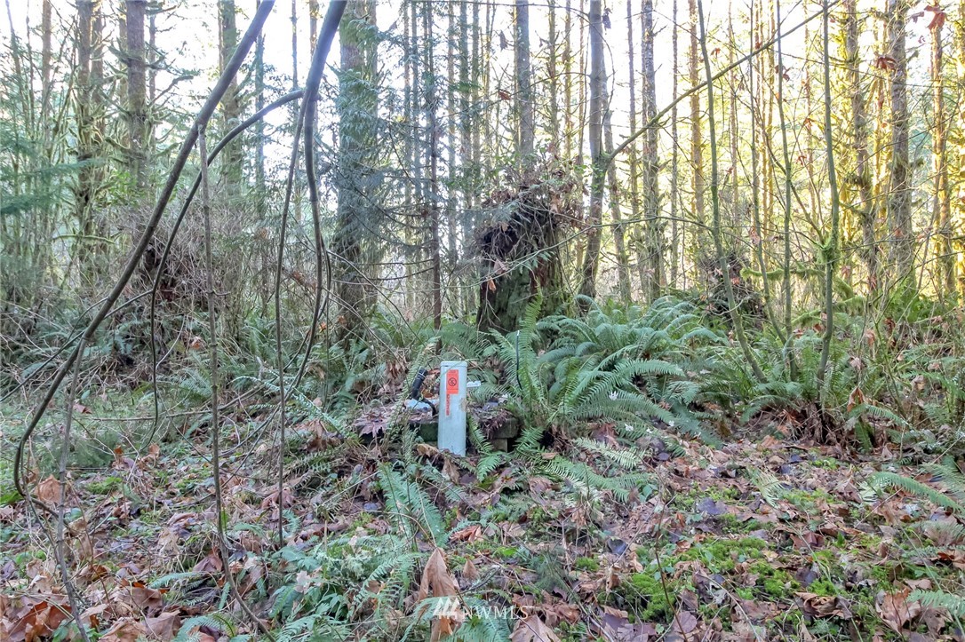 34100 Northeast N Fork Road Duvall, WA 98019 - Photo 9 of 20 Gallery Image 9