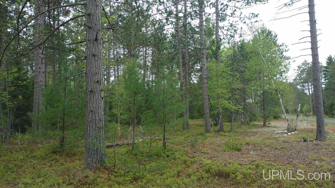 Tbd Little Rice Lake Road, Unit 57 Lake Linden, MI 49945 - Photo 4 of 9