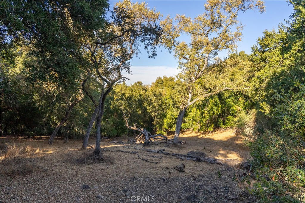 13600 Santa Ana Road Atascadero, CA 93422 - Photo 1 of 1 a view of a tree in a yard