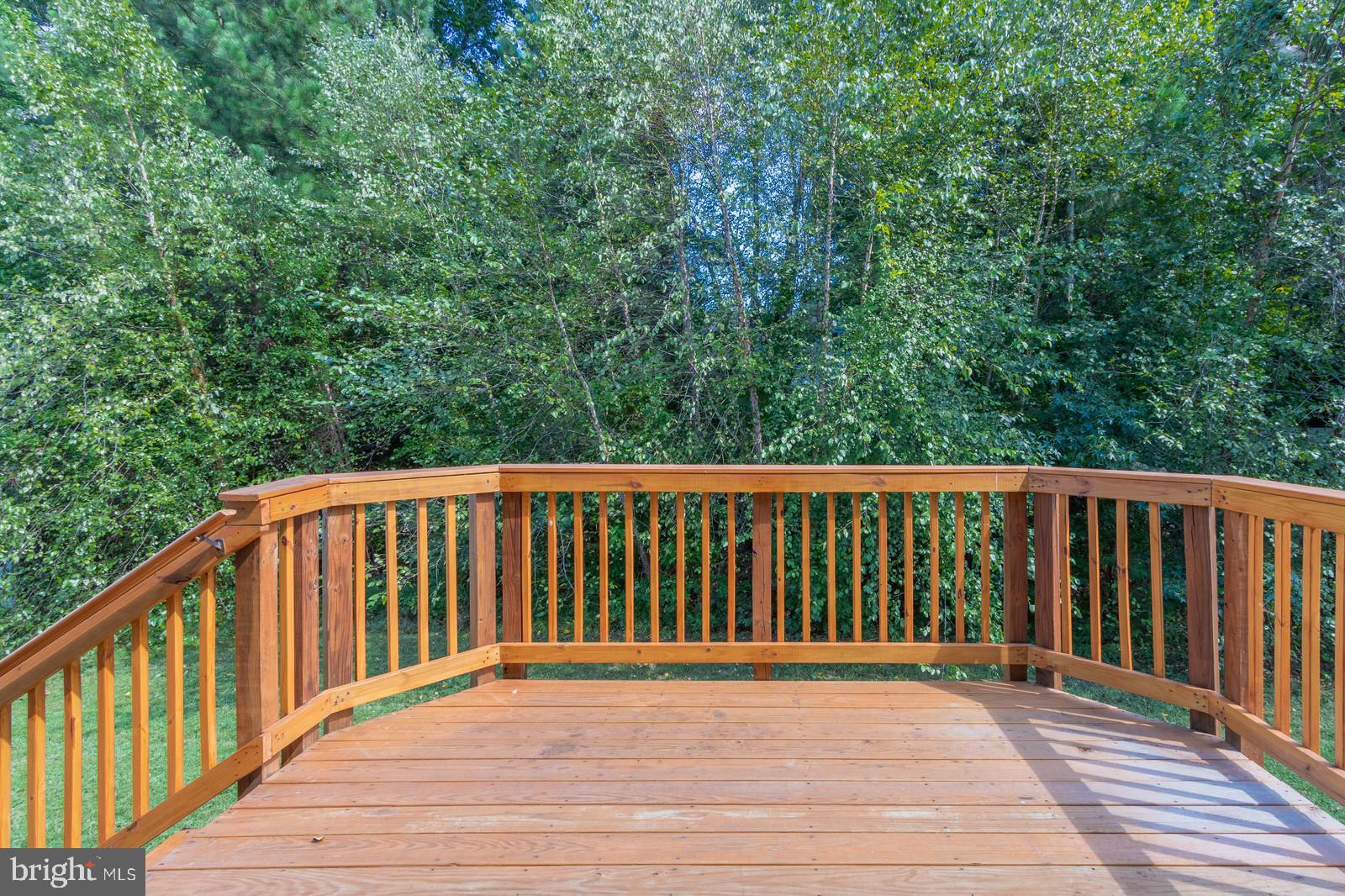 9107 Mullen Road King George, VA 22485 - Photo 22 of 40 Spacious Back Deck