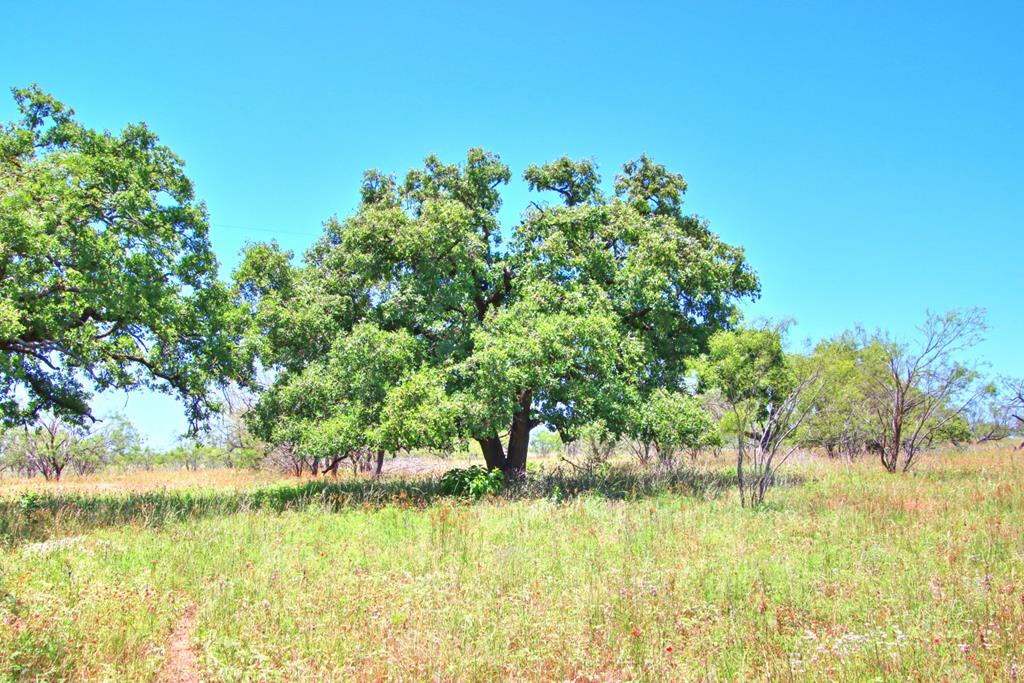 Lot 3 East Ranch Road, Unit 3 Fredericksburg, TX 78624 - Photo 1 of 17 Main View