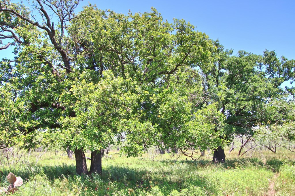 Lot 3 East Ranch Road, Unit 3 Fredericksburg, TX 78624 - Photo 11 of 17