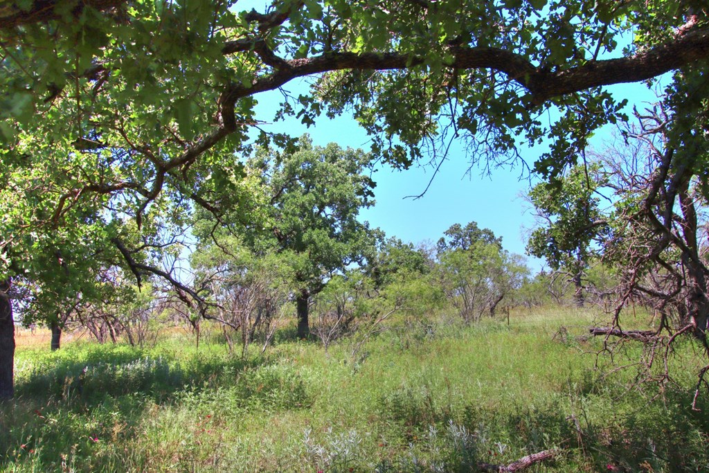 Lot 3 East Ranch Road, Unit 3 Fredericksburg, TX 78624 - Photo 14 of 17