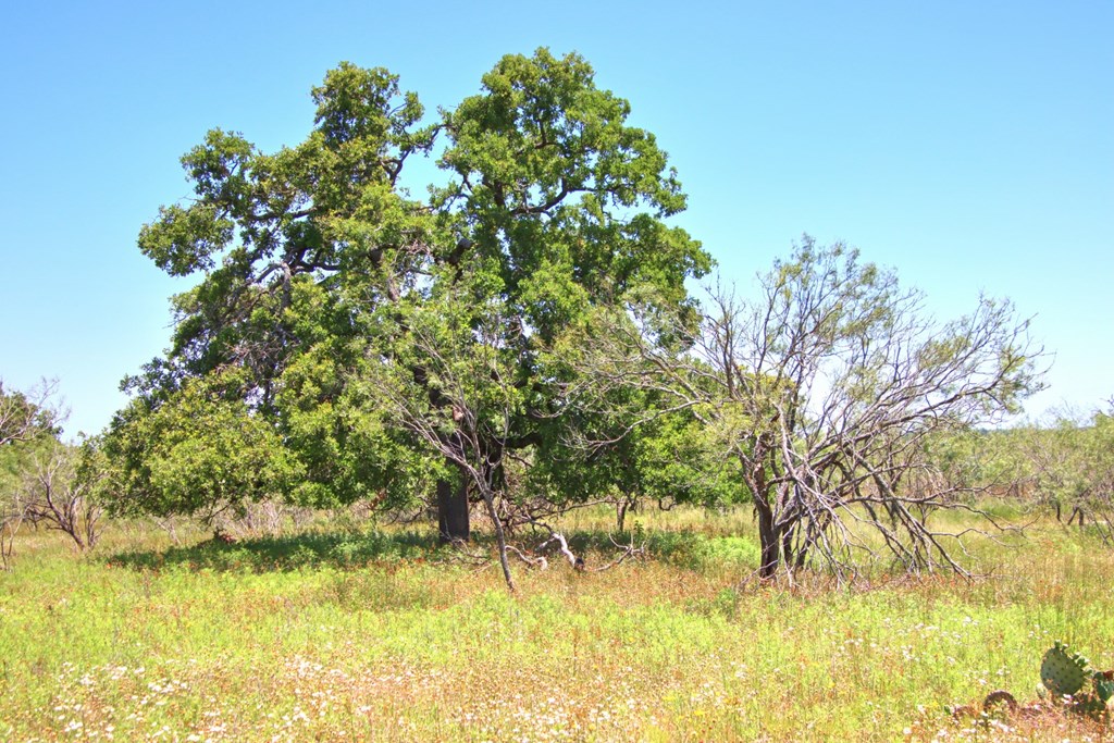 Lot 3 East Ranch Road, Unit 3 Fredericksburg, TX 78624 - Photo 15 of 17