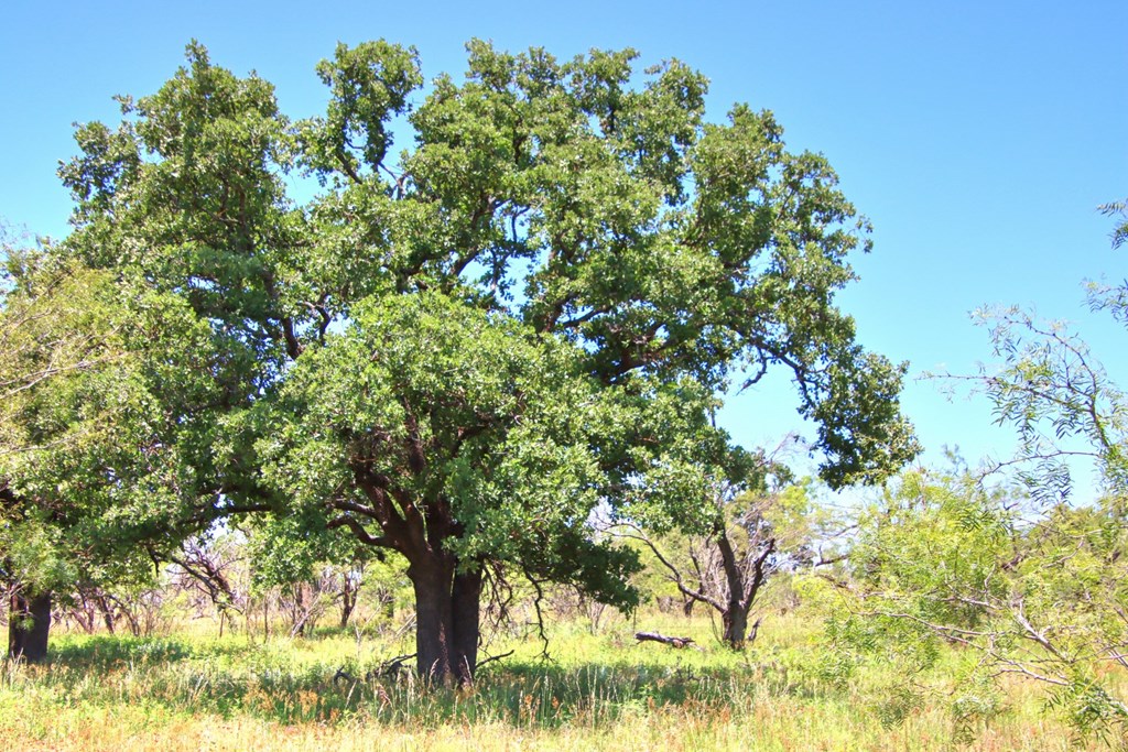 Lot 3 East Ranch Road, Unit 3 Fredericksburg, TX 78624 - Photo 16 of 17