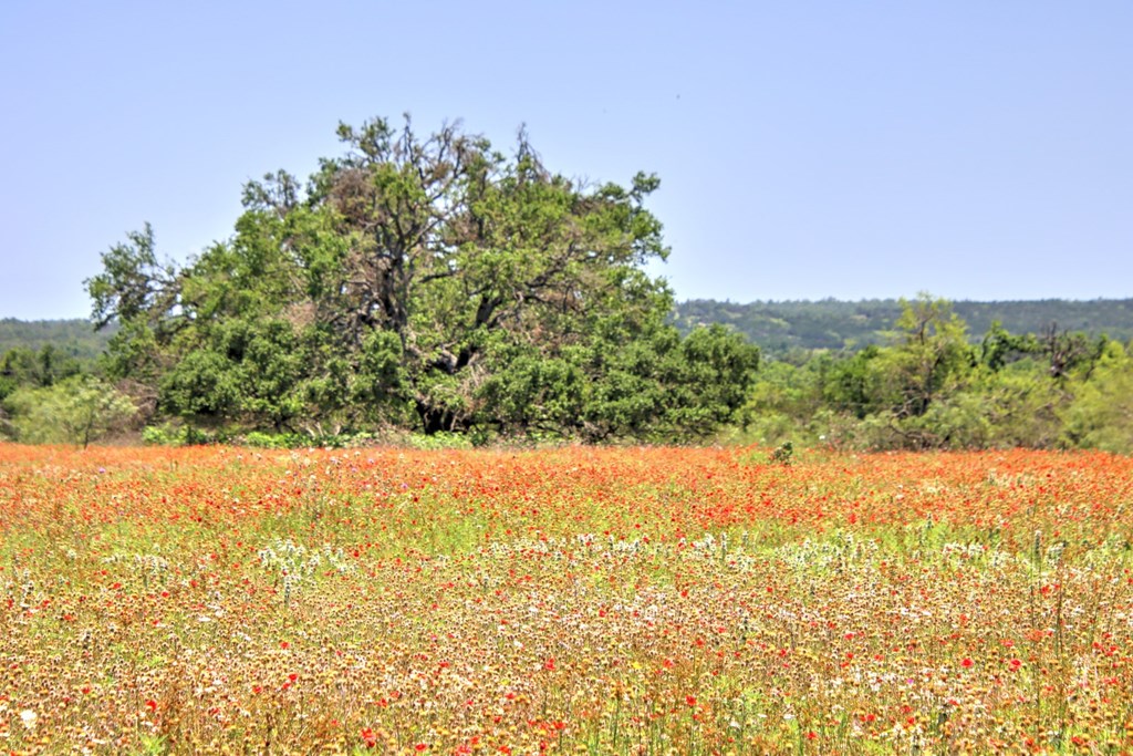 Lot 3 East Ranch Road, Unit 3 Fredericksburg, TX 78624 - Photo 2 of 17