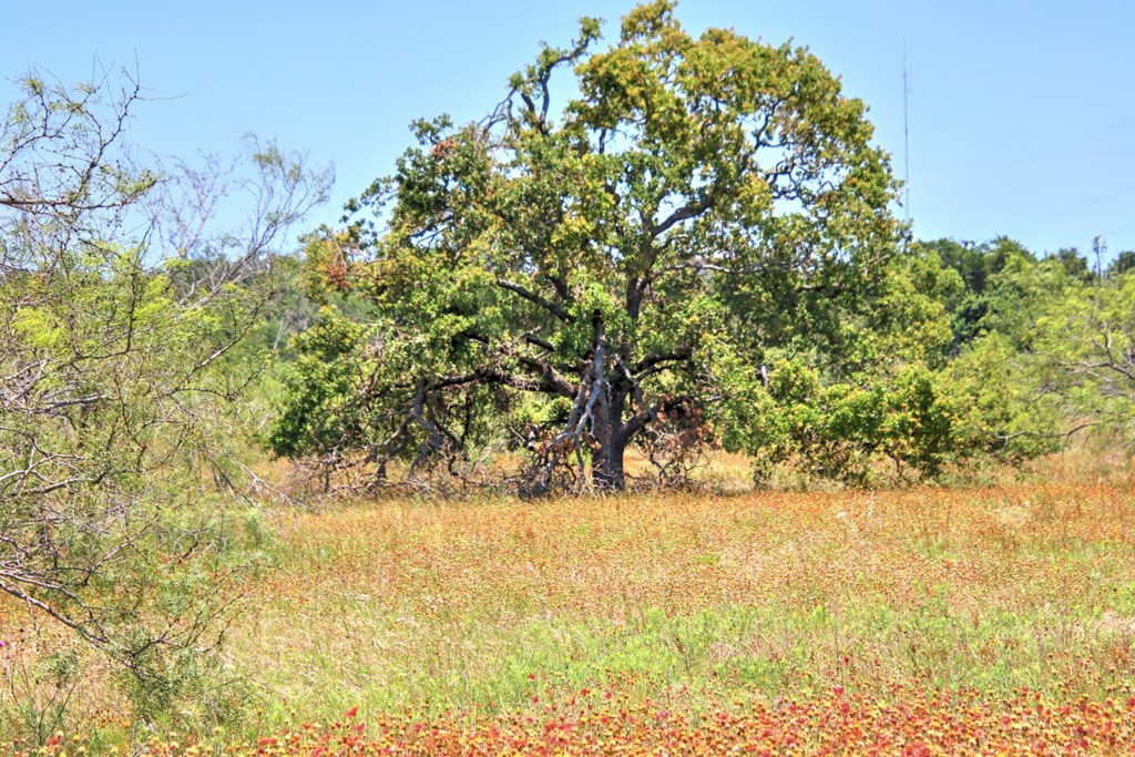 Lot 3 East Ranch Road, Unit 3 Fredericksburg, TX 78624 - Photo 3 of 17