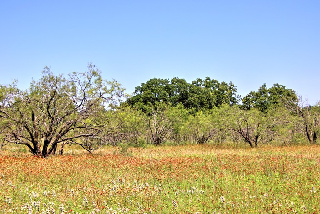 Lot 3 East Ranch Road, Unit 3 Fredericksburg, TX 78624 - Photo 4 of 17