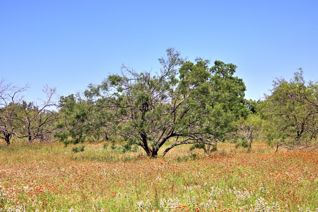 Lot 3 East Ranch Road, Unit 3 Fredericksburg, TX 78624 - Photo 5 of 17