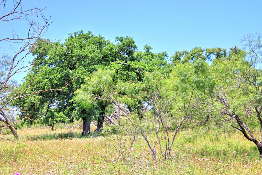 Lot 3 East Ranch Road, Unit 3 Fredericksburg, TX 78624 - Photo 7 of 17