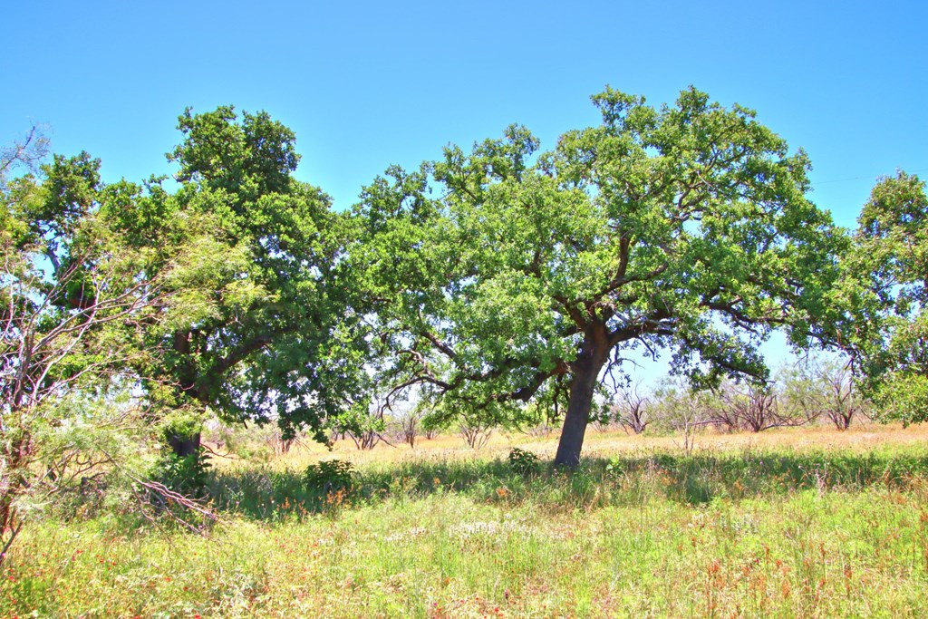 Lot 3 East Ranch Road, Unit 3 Fredericksburg, TX 78624 - Photo 9 of 17