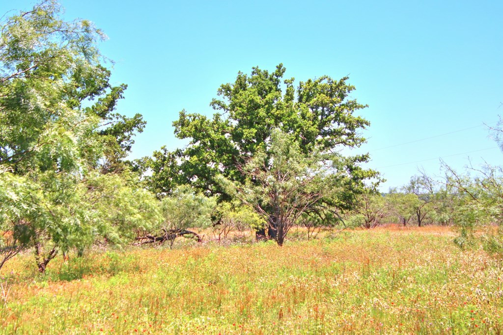 Lot 3 East Ranch Road, Unit 3 Fredericksburg, TX 78624 - Photo 10 of 17