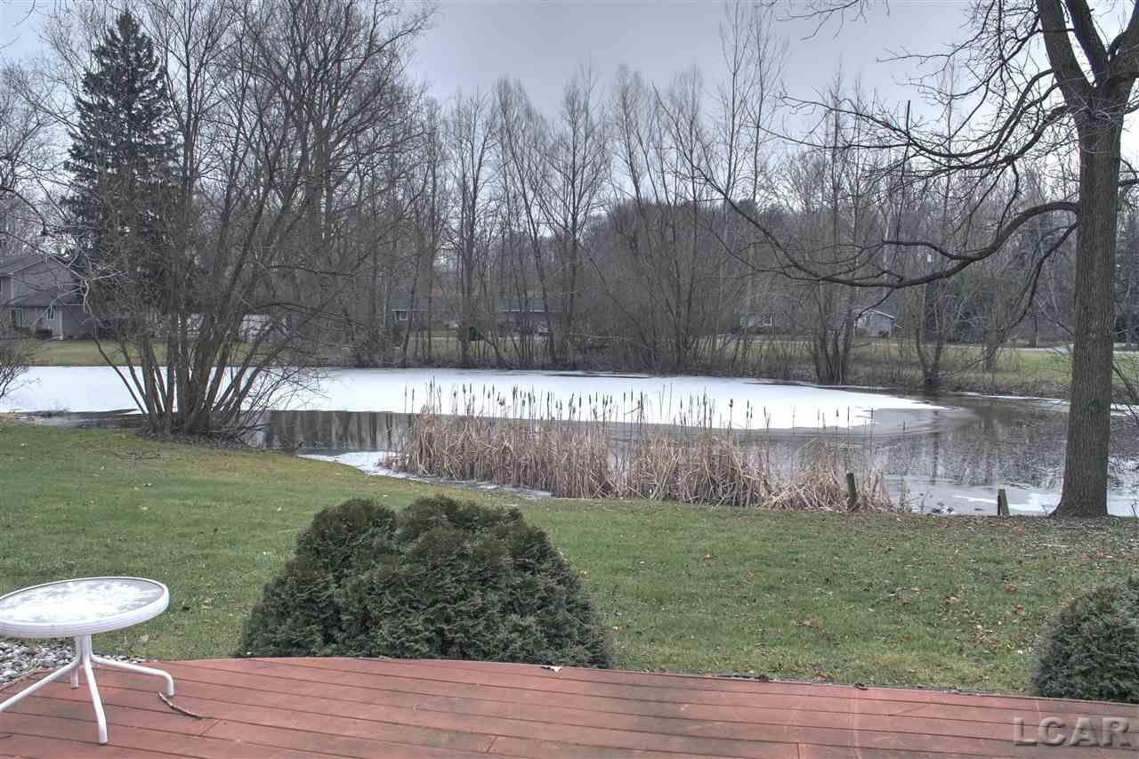 4781 Hooks Mill Road Adrian, MI 49221 - Photo 18 of 19