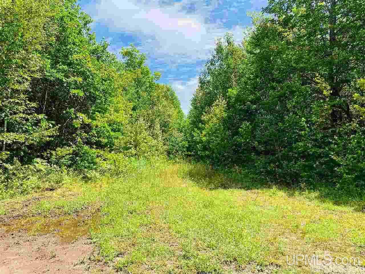 Tbd Oak Ridge Road Lake Linden, MI 49945 - Photo 9 of 10