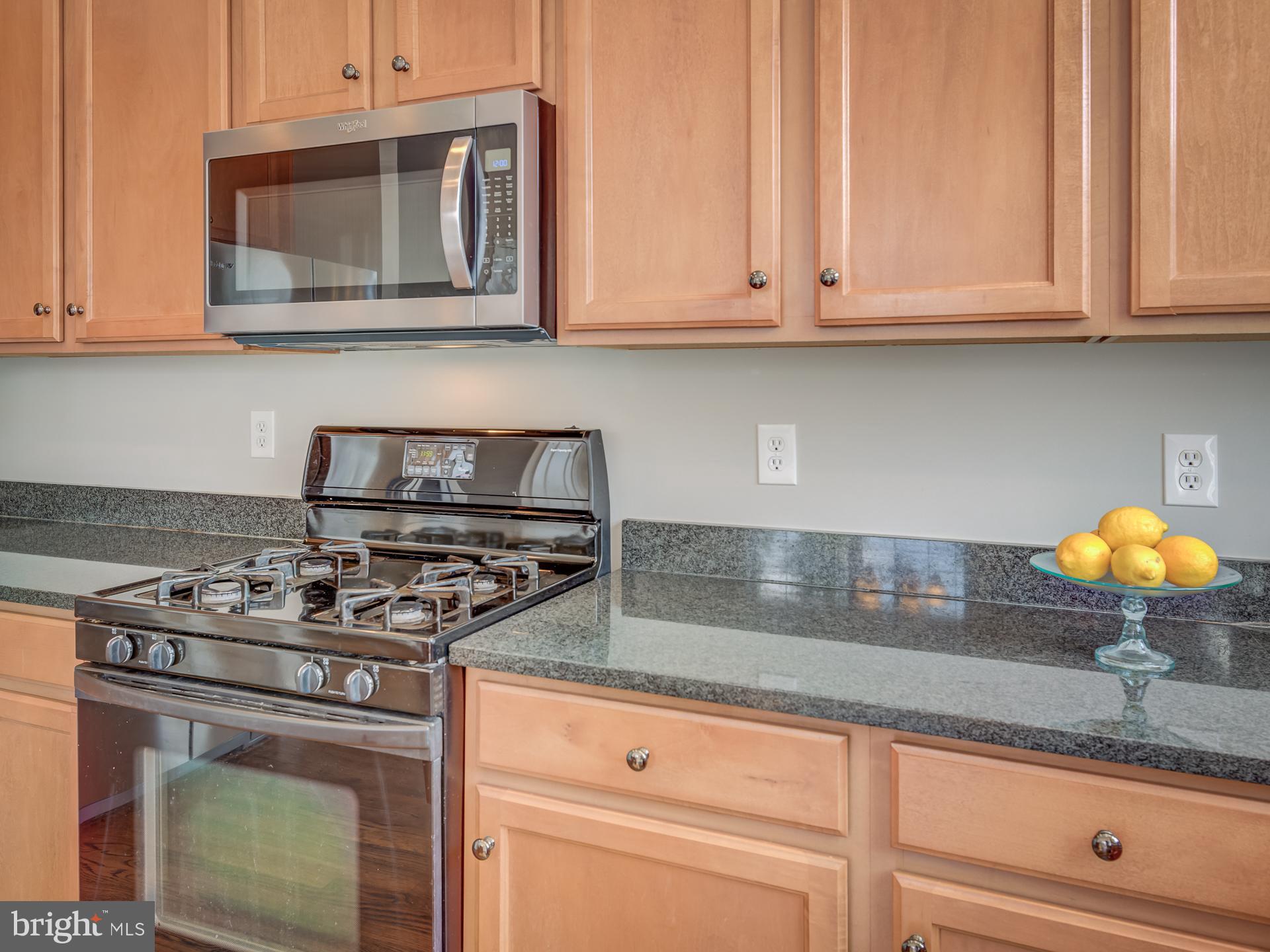 42451 Magellan Square Brambleton, VA 20148 - Photo 13 of 45 Granite Counters