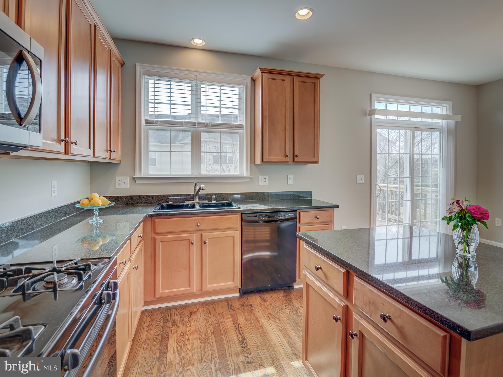 42451 Magellan Square Brambleton, VA 20148 - Photo 14 of 45 Gas Cooking