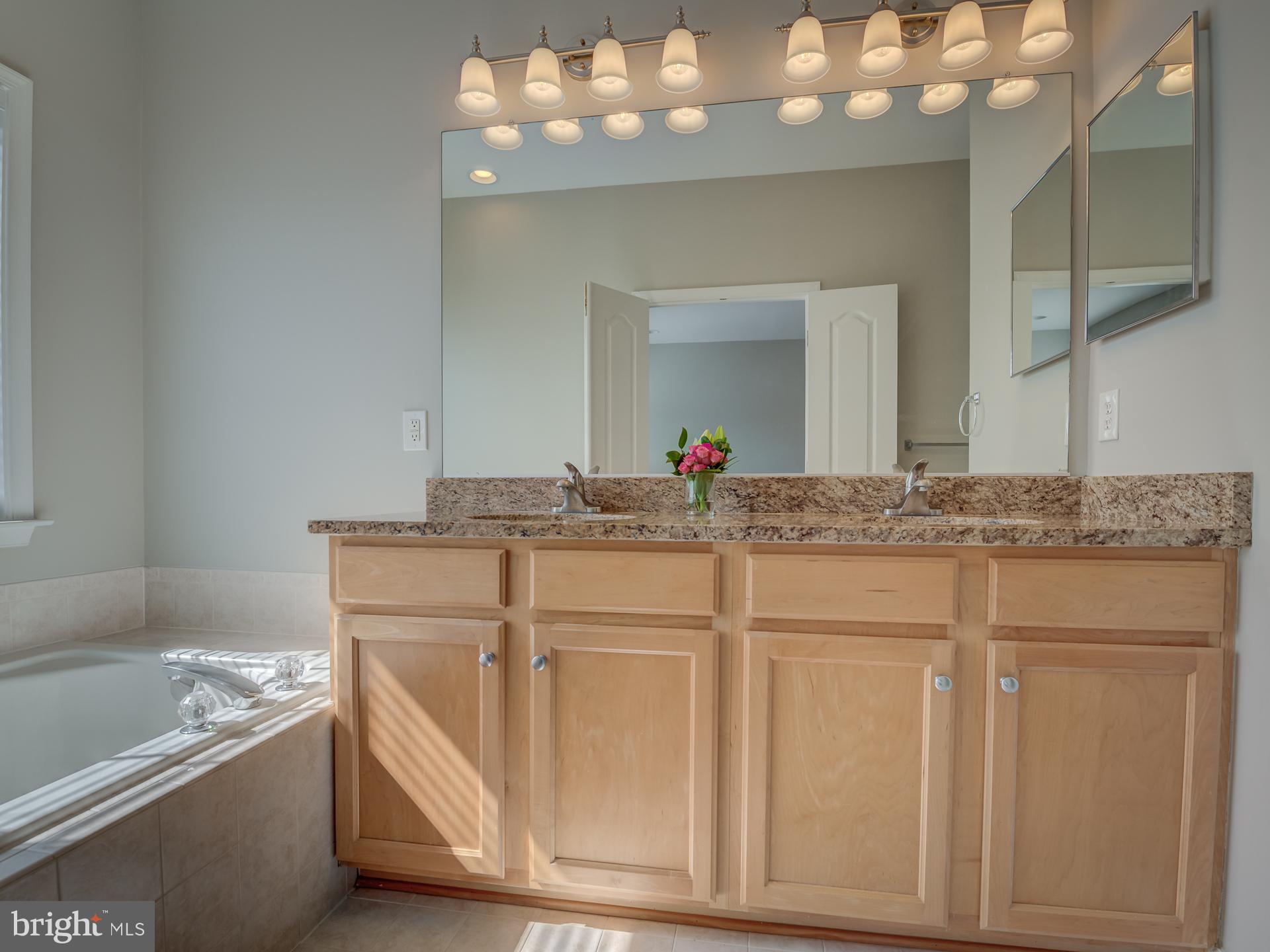 42451 Magellan Square Brambleton, VA 20148 - Photo 23 of 45 Owner's Bath