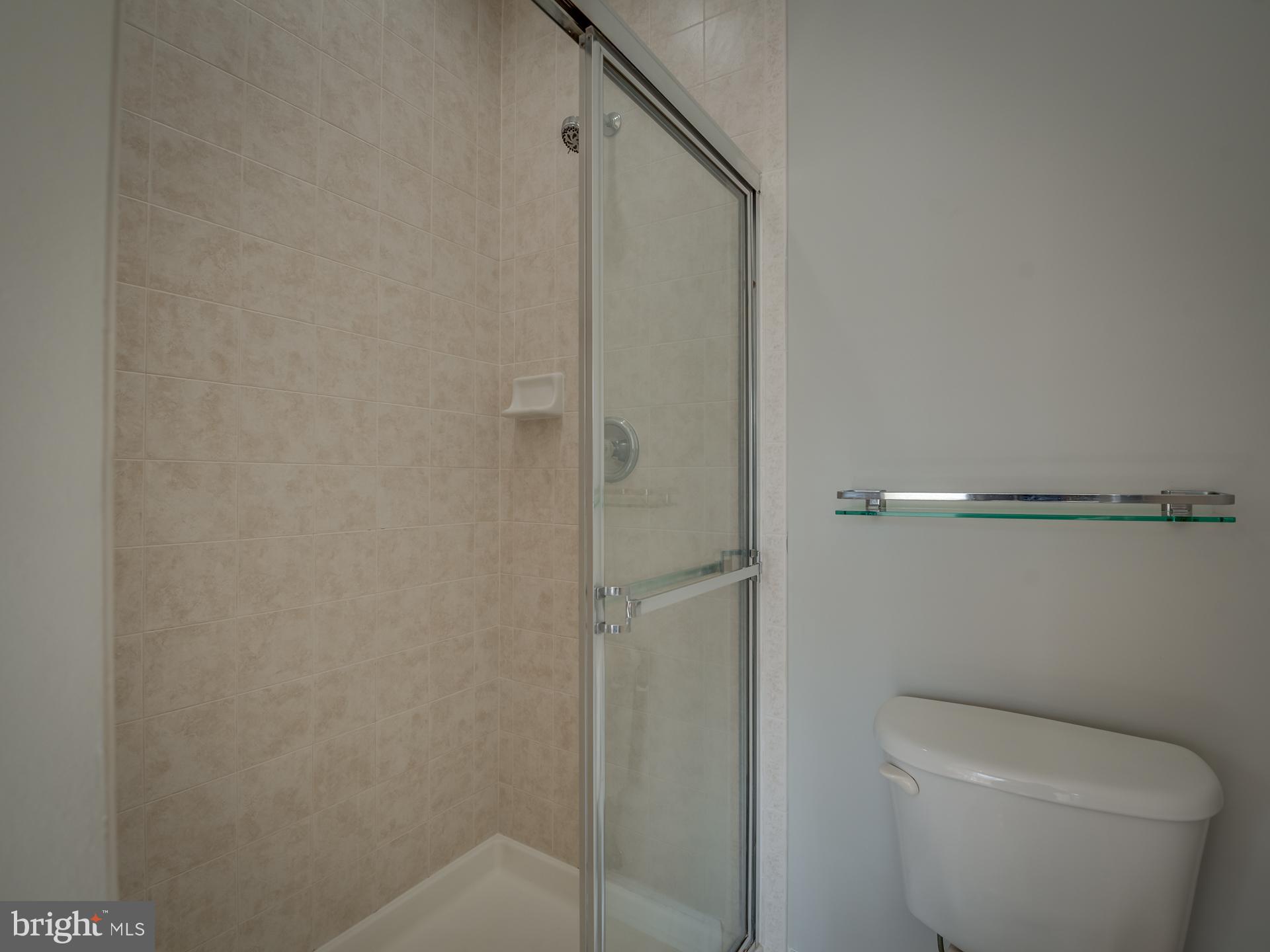 42451 Magellan Square Brambleton, VA 20148 - Photo 25 of 45 Separate Shower in Owner's Bathroom