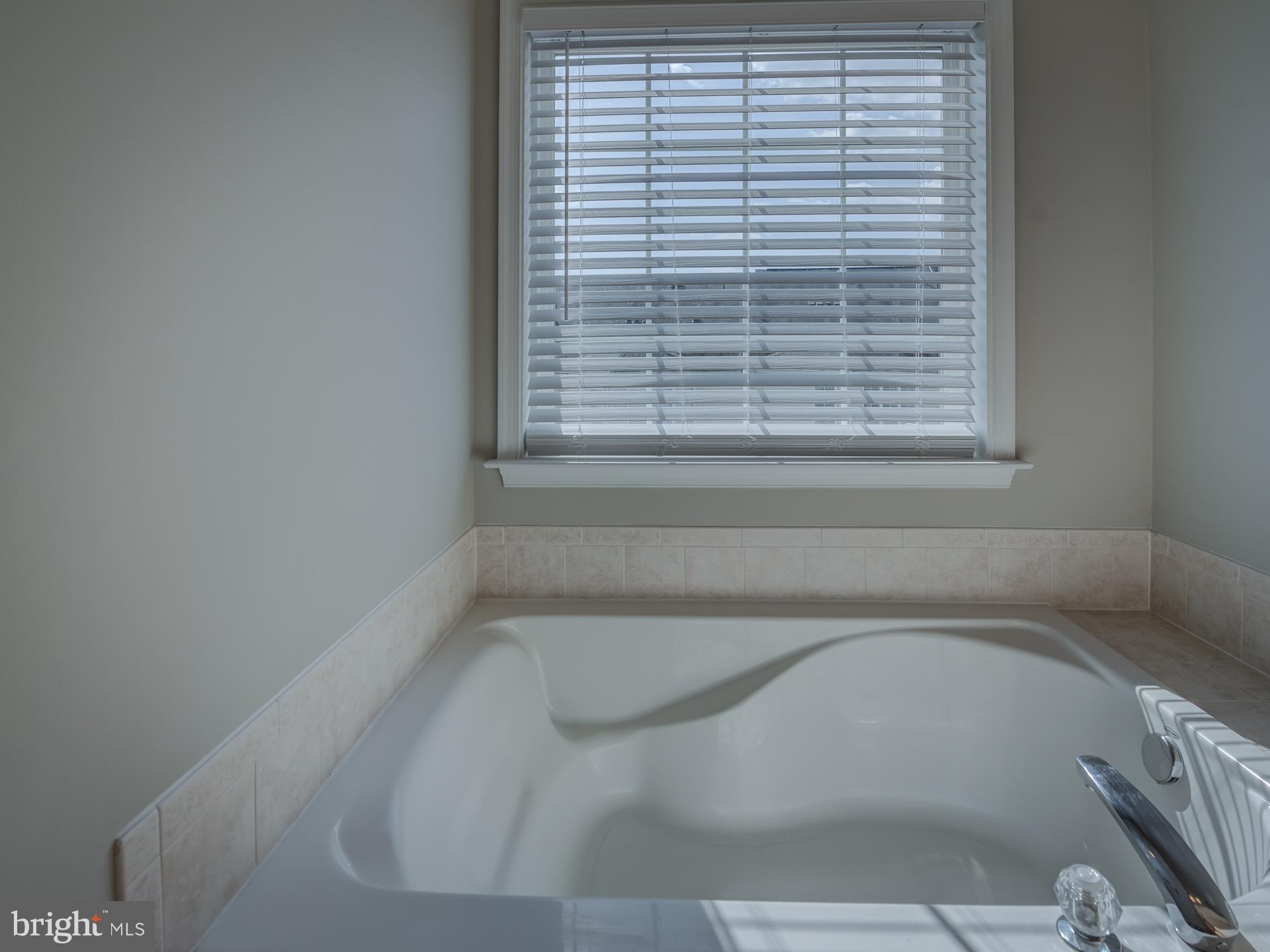 42451 Magellan Square Brambleton, VA 20148 - Photo 26 of 45 Soaking Tub in Owner's Bathroom