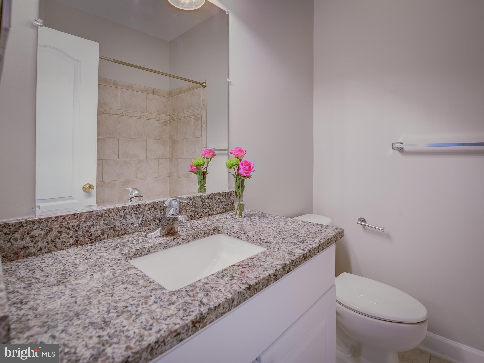 42451 Magellan Square Brambleton, VA 20148 - Photo 31 of 45 Hallway Bathroom