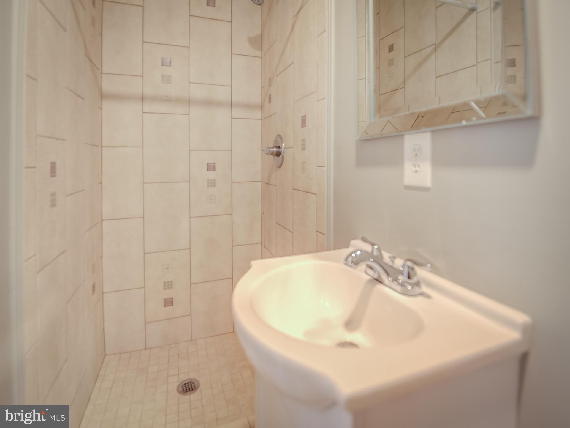 42451 Magellan Square Brambleton, VA 20148 - Photo 39 of 45 Basement Bathroom with Shower