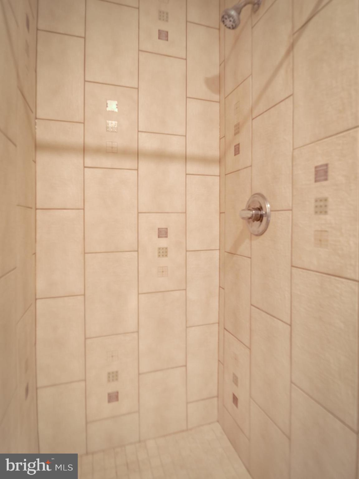 42451 Magellan Square Brambleton, VA 20148 - Photo 40 of 45 Basement Shower
