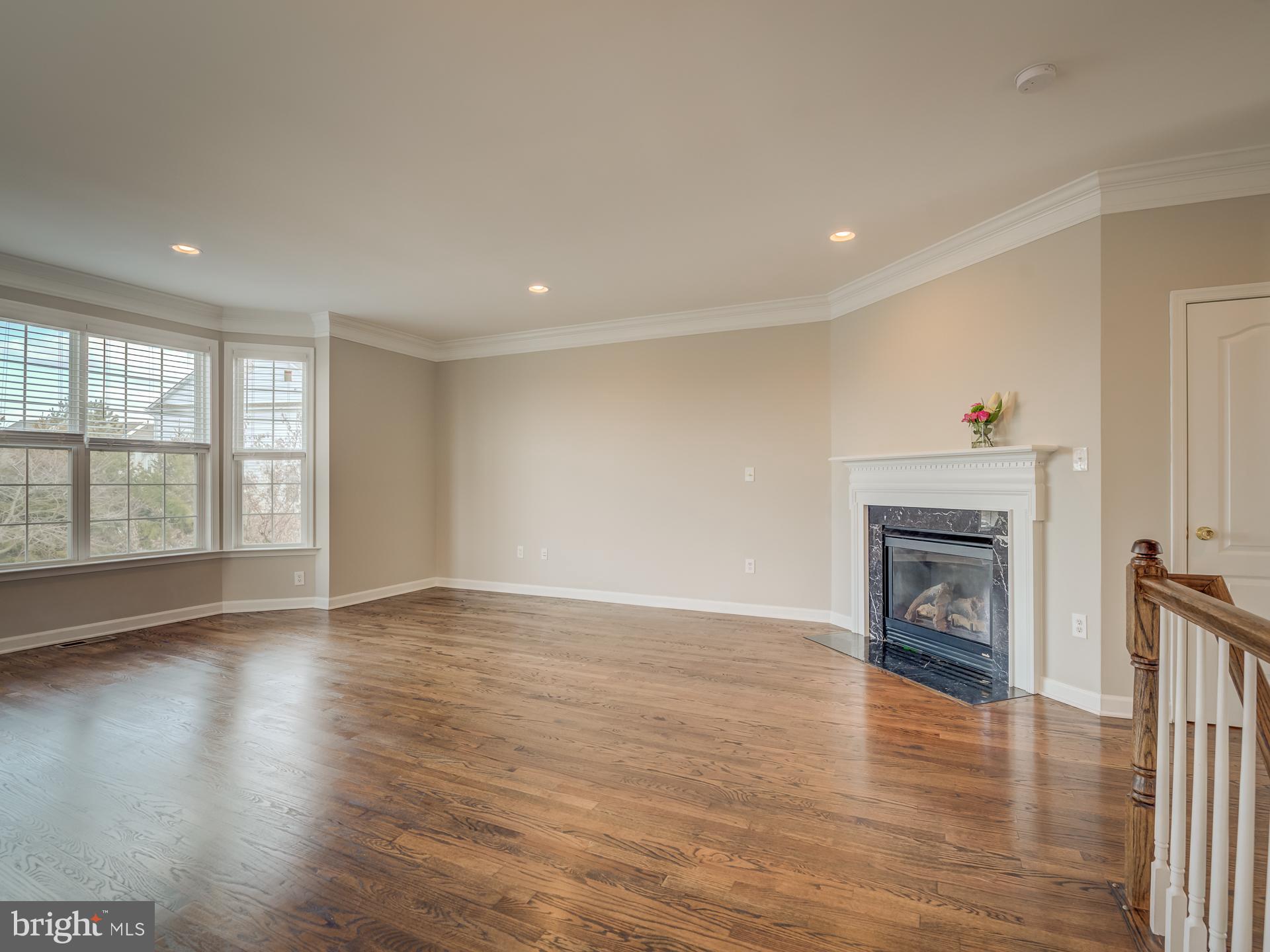 42451 Magellan Square Brambleton, VA 20148 - Photo 4 of 45 Living Area with Fireplace