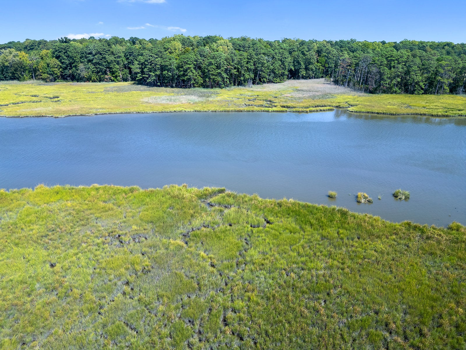 1350 Moyer Road Newport News, VA 23608 - Photo 25 of 53 Gallery Image 25