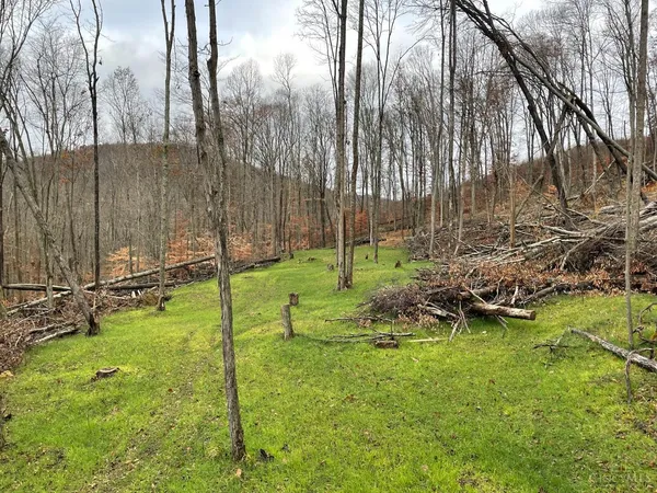 $111,000 | Ac Beech Fork Road, Peebles, OH 45660
