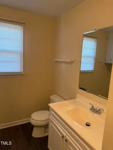 a bathroom with a sink and a toilet