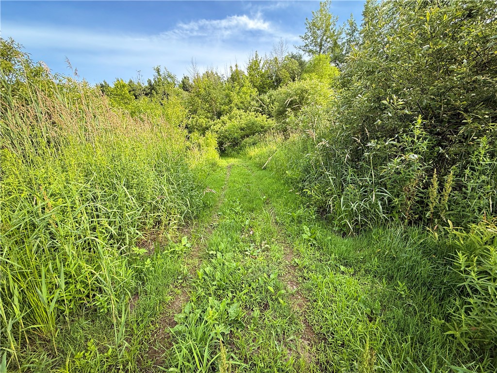 13108 Ridge Road Wolcott, NY 14590 - Photo 22 of 50