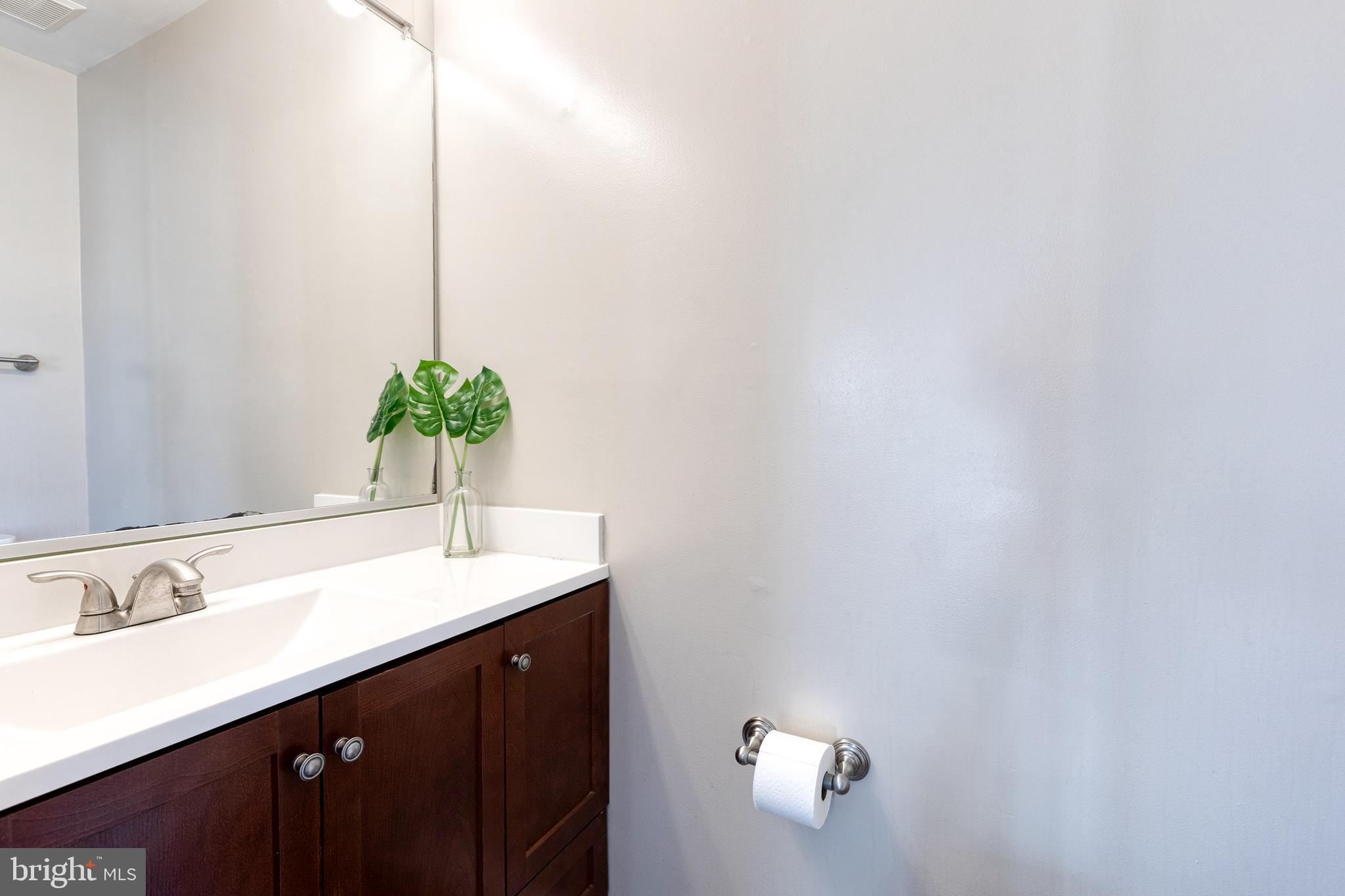8743 Ruppert Court Ellicott City, MD 21043 - Photo 27 of 41 a bathroom with a sink and a mirror