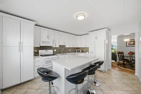 $245,000 | 5211 North Potawatomie Avenue, Unit 206, Chicago, IL 60656