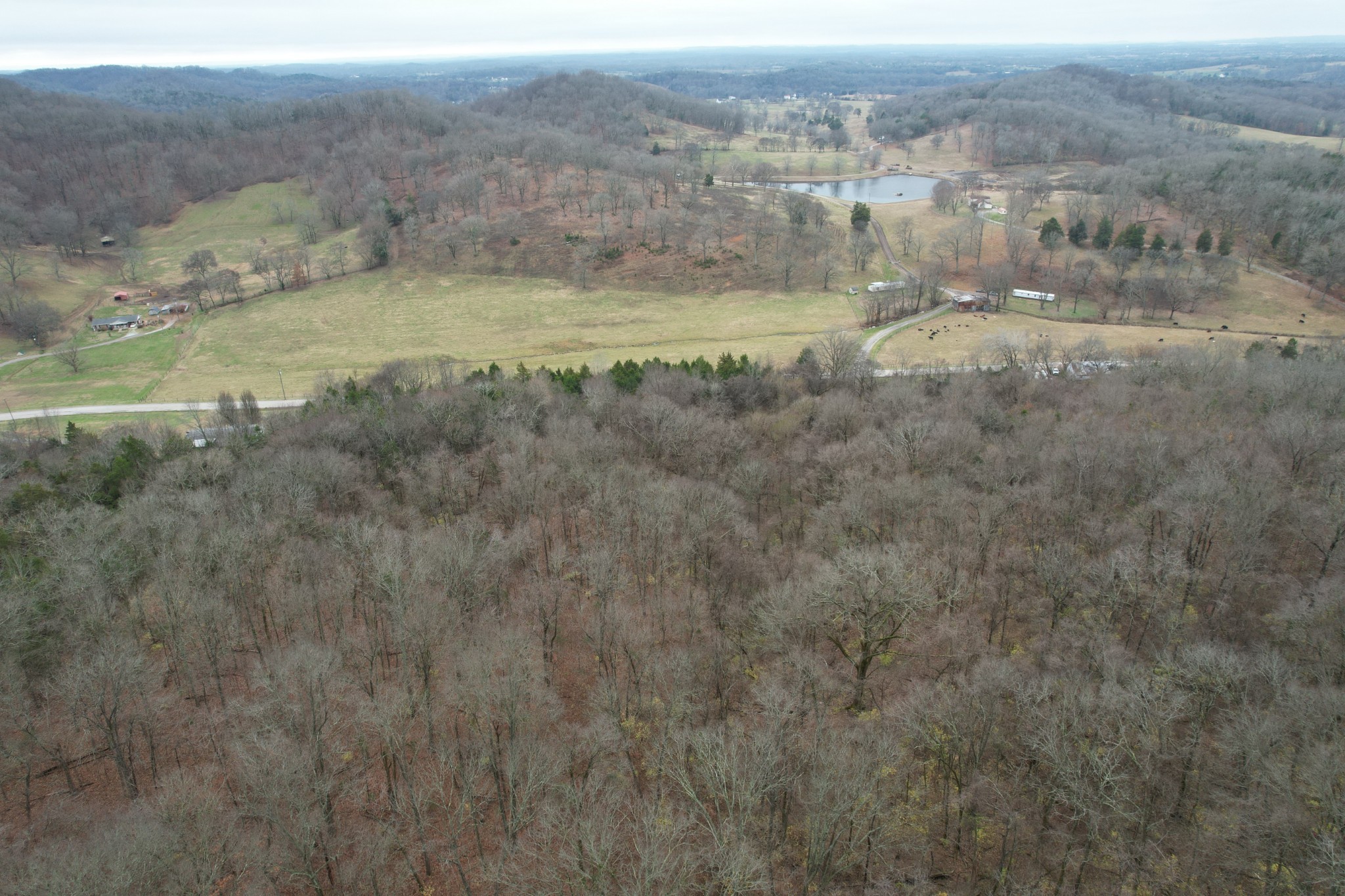 4430 Jackson Hollow Road Franklin, TN 37064 - Photo 1 of 7 Gallery Image 1