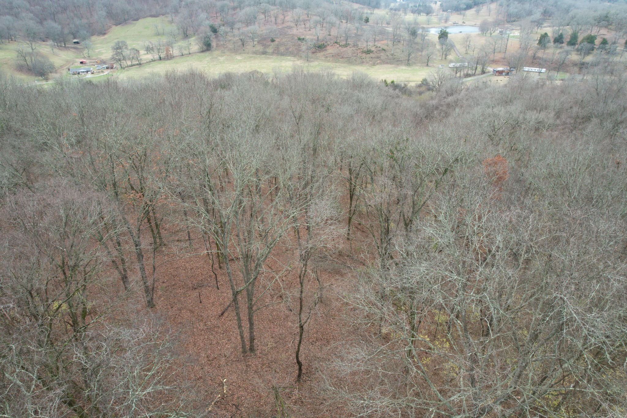 4430 Jackson Hollow Road Franklin, TN 37064 - Photo 2 of 7 Gallery Image 2