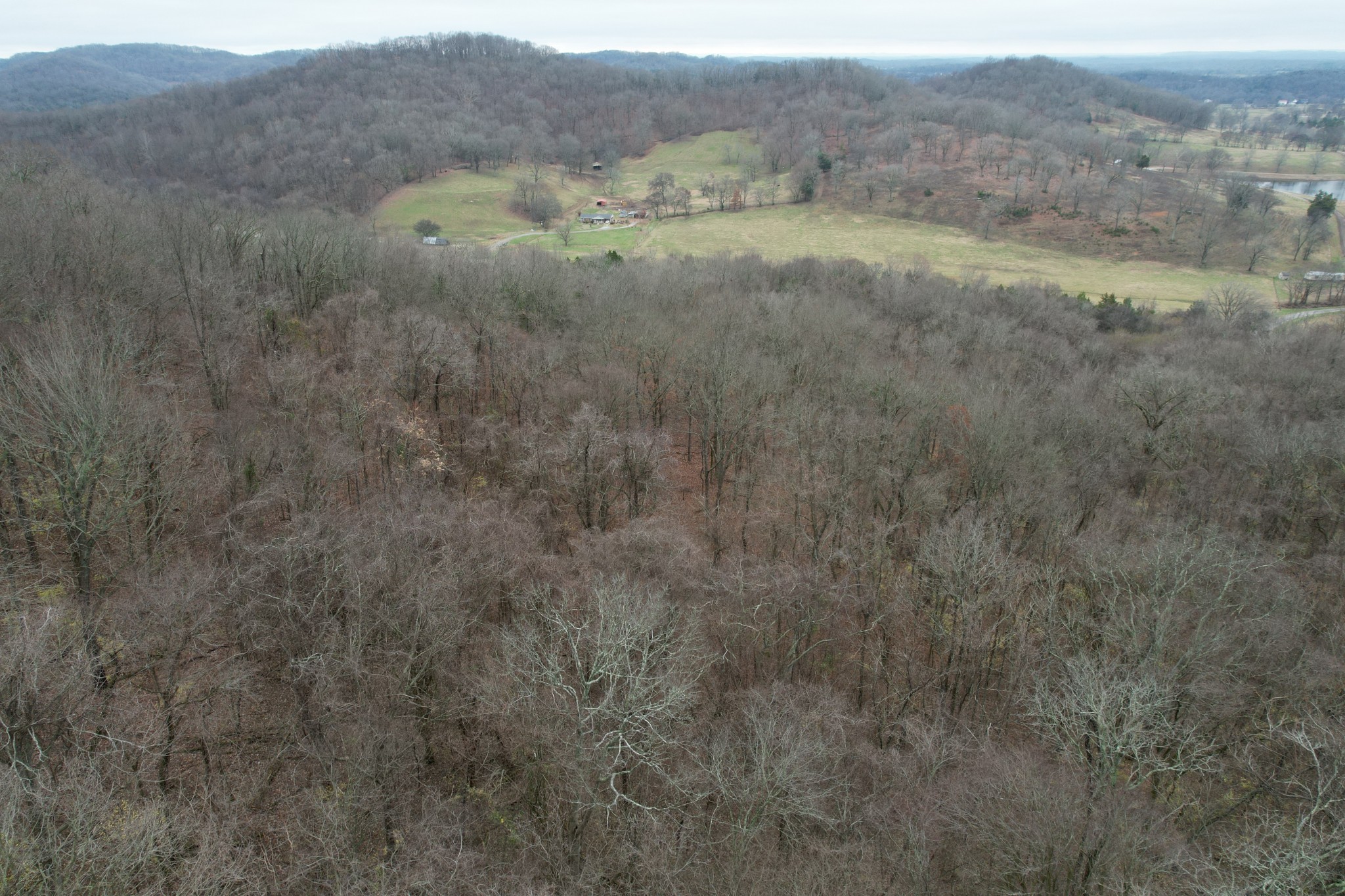 4430 Jackson Hollow Road Franklin, TN 37064 - Photo 3 of 7 Gallery Image 3