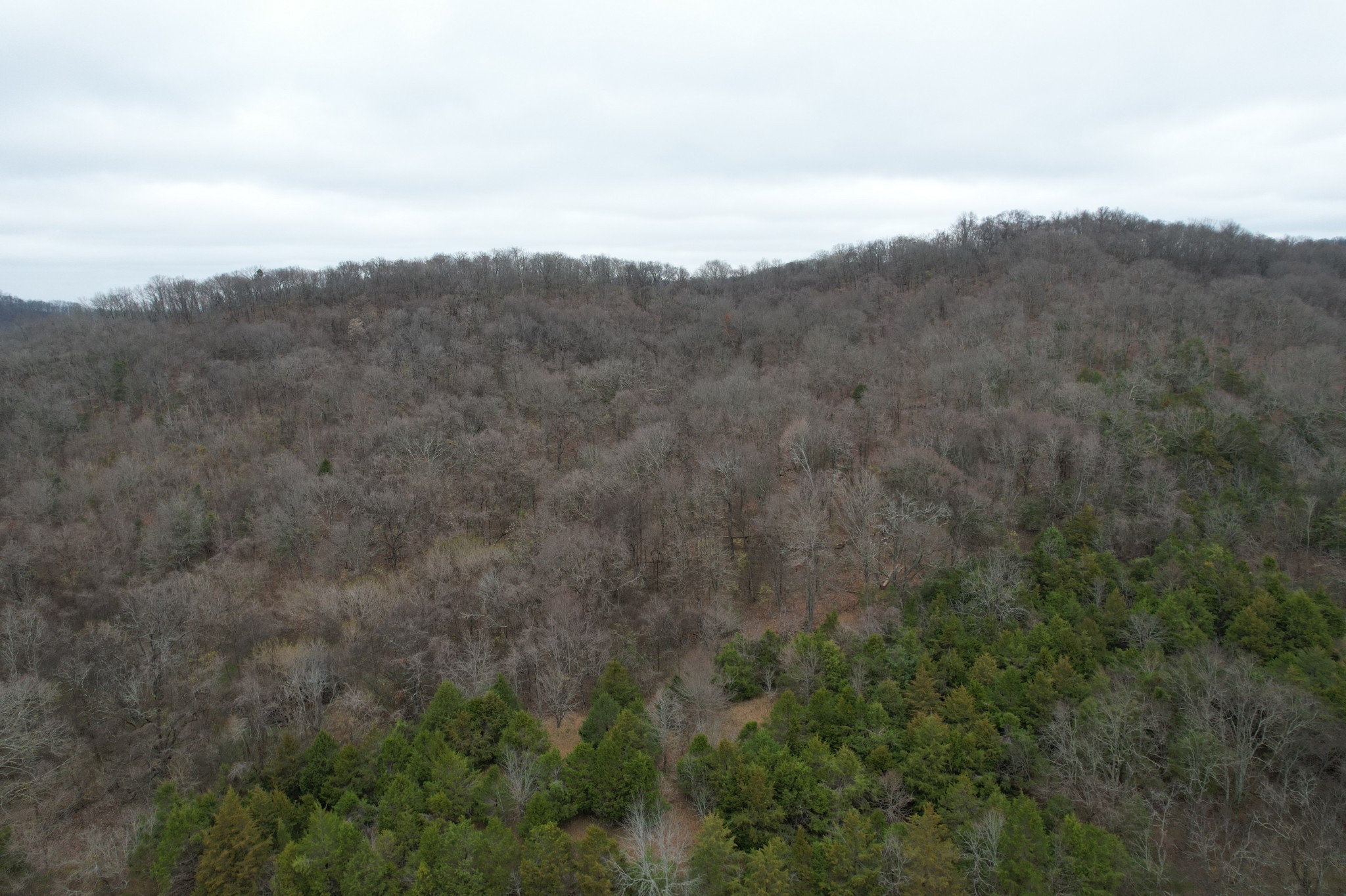 4430 Jackson Hollow Road Franklin, TN 37064 - Photo 4 of 7 Gallery Image 4