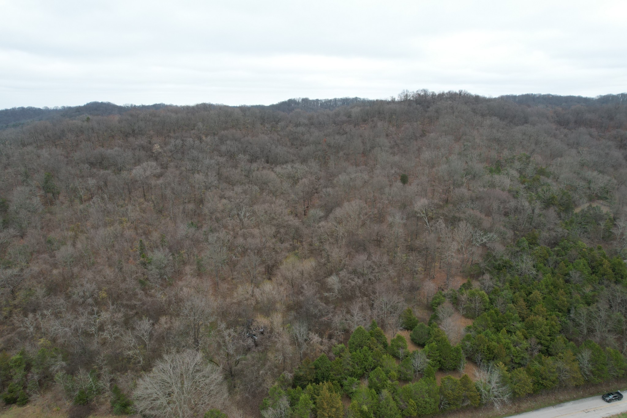 4430 Jackson Hollow Road Franklin, TN 37064 - Photo 5 of 7 Gallery Image 5