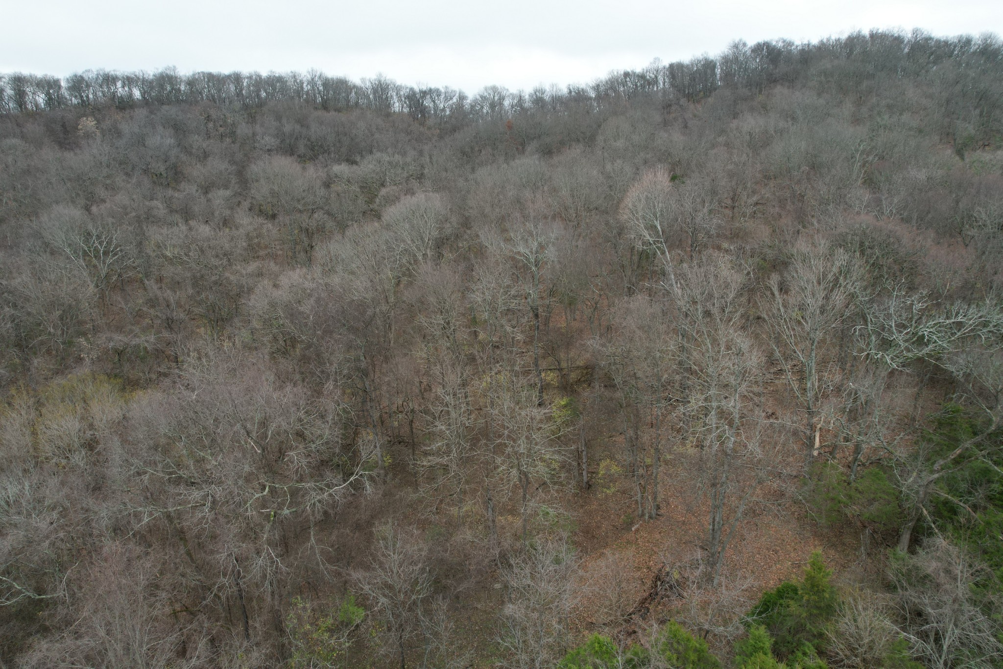 4430 Jackson Hollow Road Franklin, TN 37064 - Photo 6 of 7 Gallery Image 6