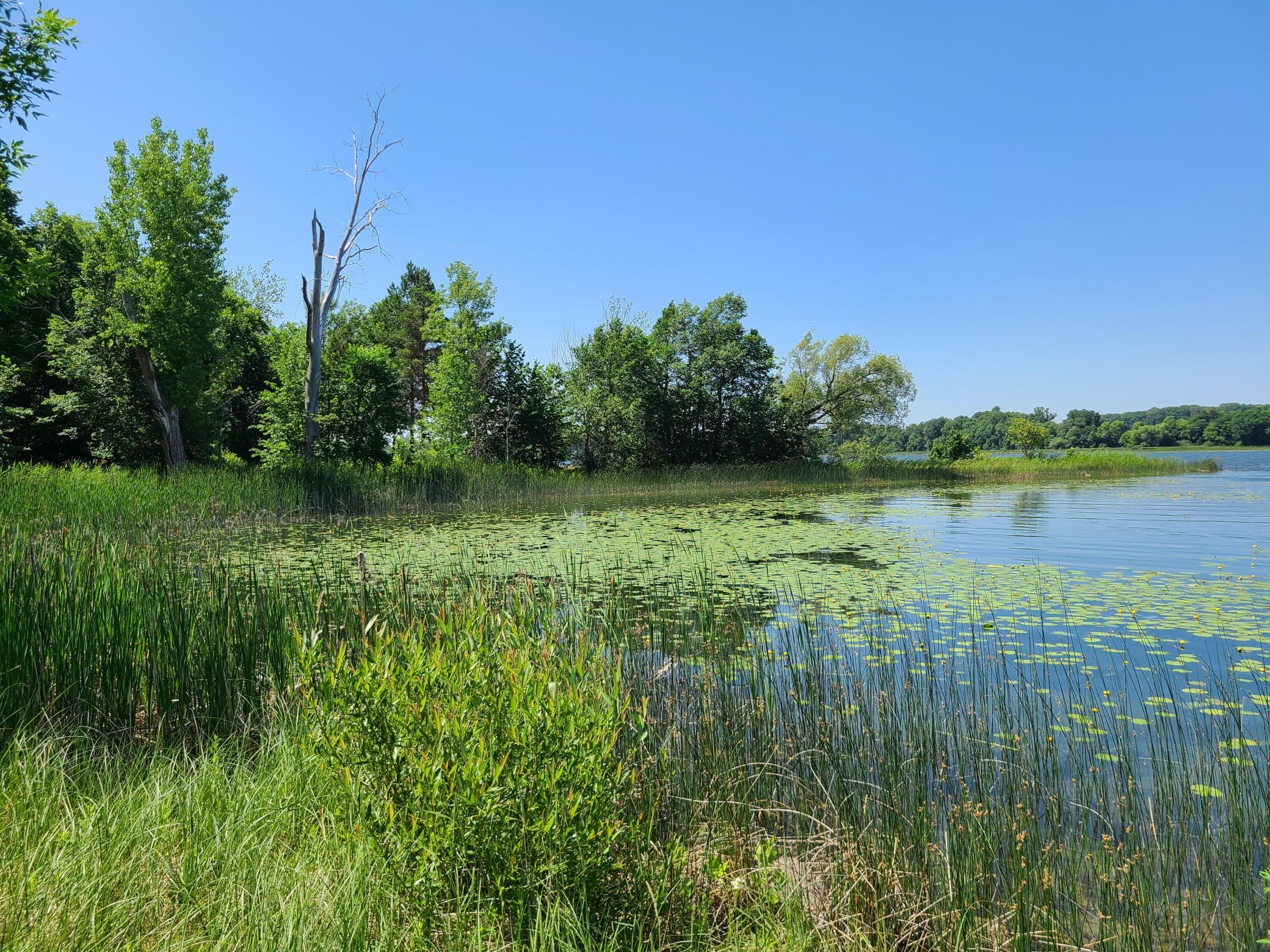26373 Anna Lake Road Underwood, MN 56586 - Photo 15 of 39