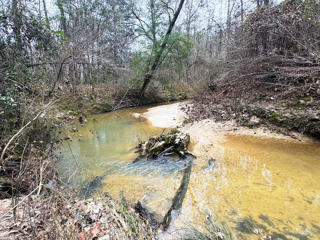 0 Steel Creek Road Georgetown, MS 39078 - Photo 11 of 19 Photo 11