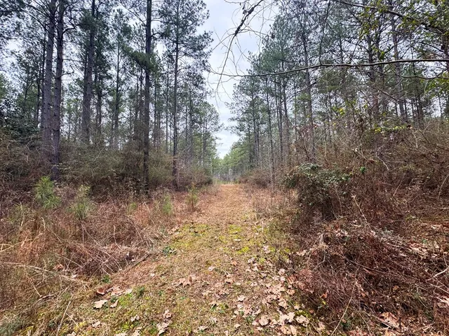 $93,600 | 0 Steel Creek Road, Georgetown, MS 39078