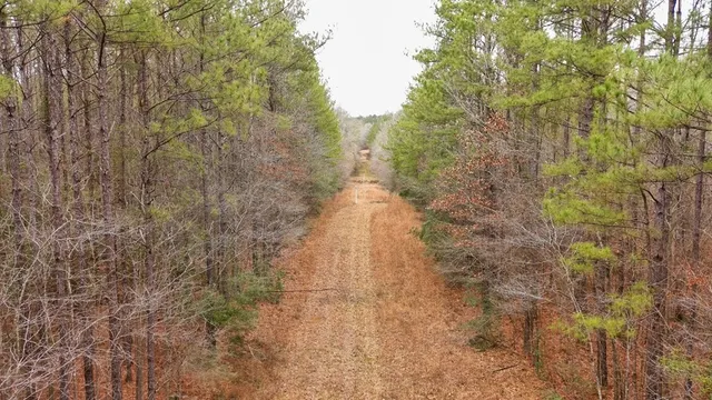 $93,600 | 0 Steel Creek Road, Georgetown, MS 39078